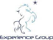 ExperienceGroup Logo